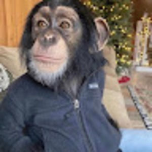 Meet your Posher, Alan